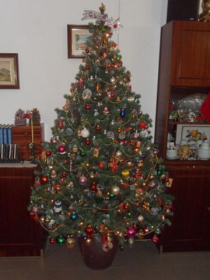 arbol03